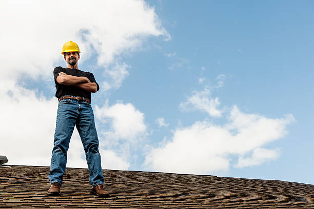 Best Roof Gutter Cleaning  in Seagraves, TX